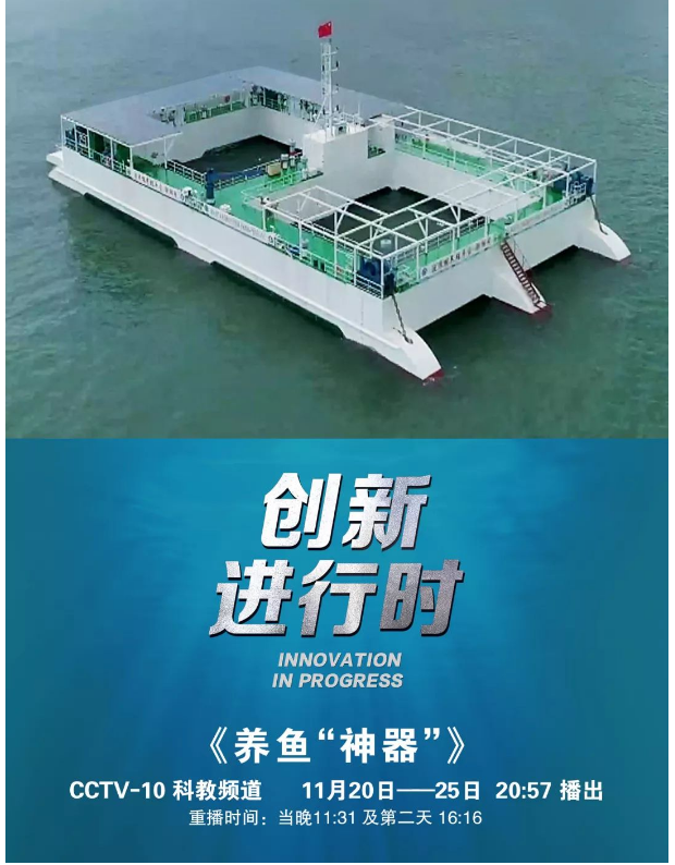 風(fēng)再猛、浪再大，都攔不住我養(yǎng)魚的雄心！